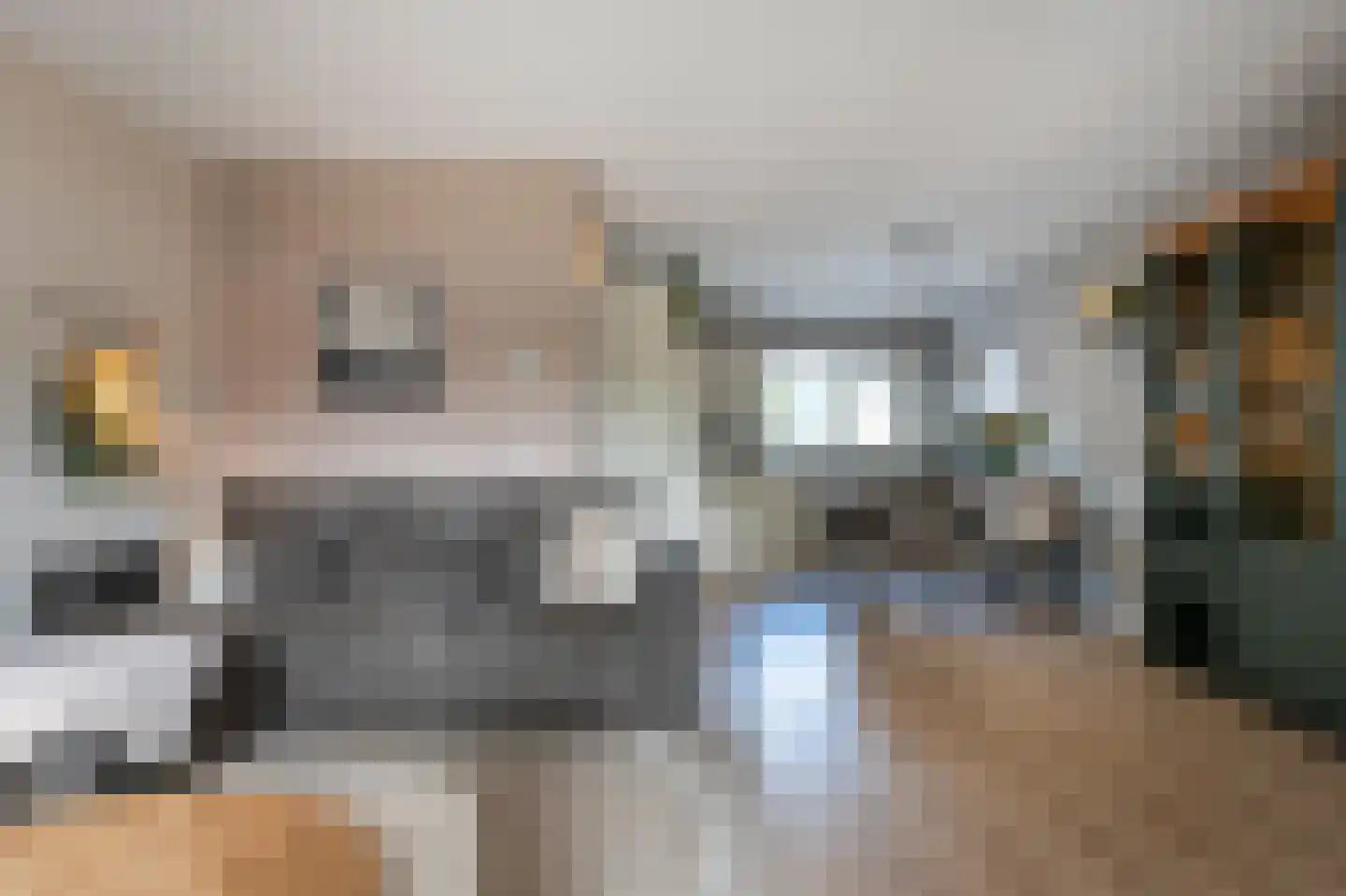 Huismus 5 Emmen thumbnail 7