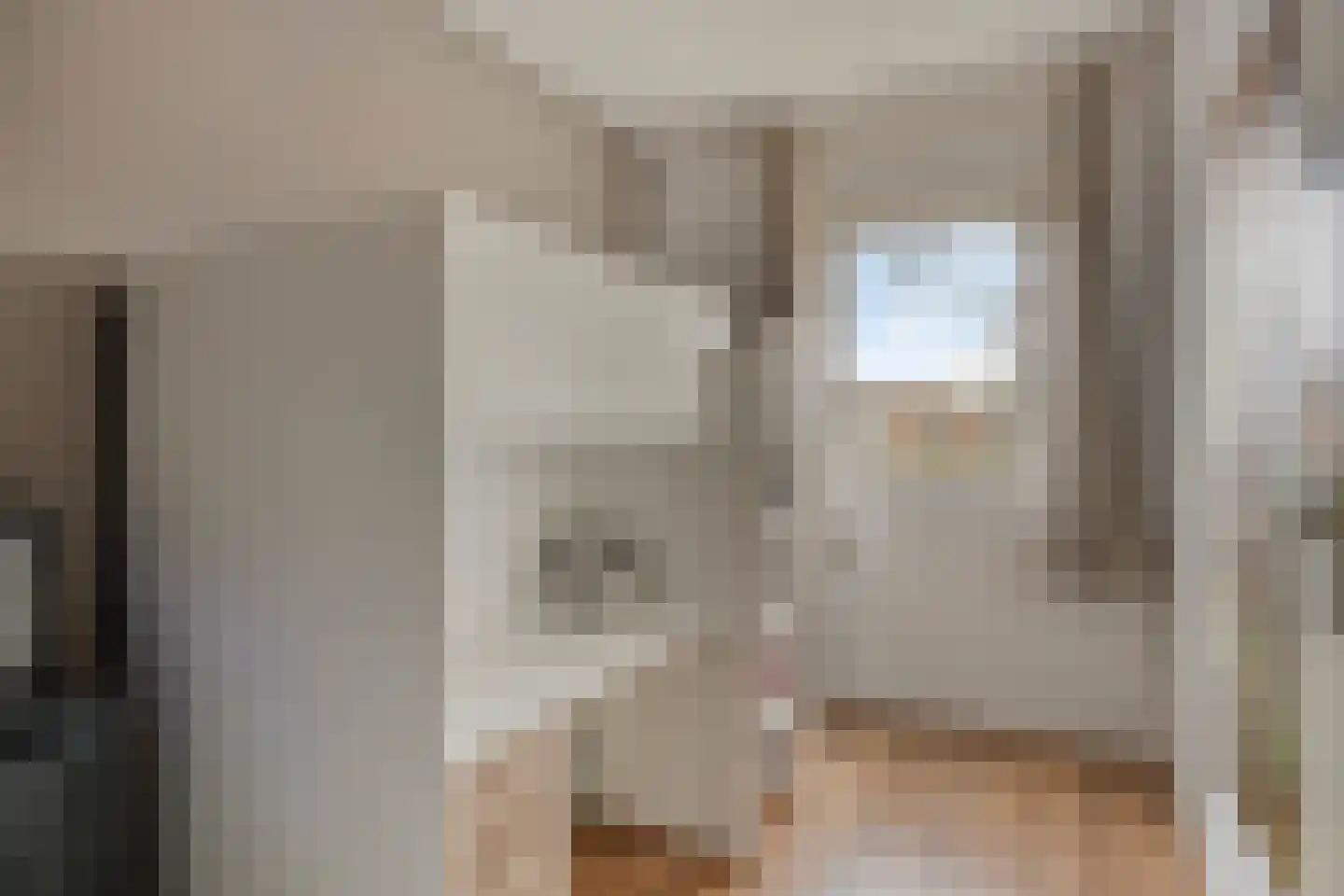 Huismus 6 Emmen thumbnail 11