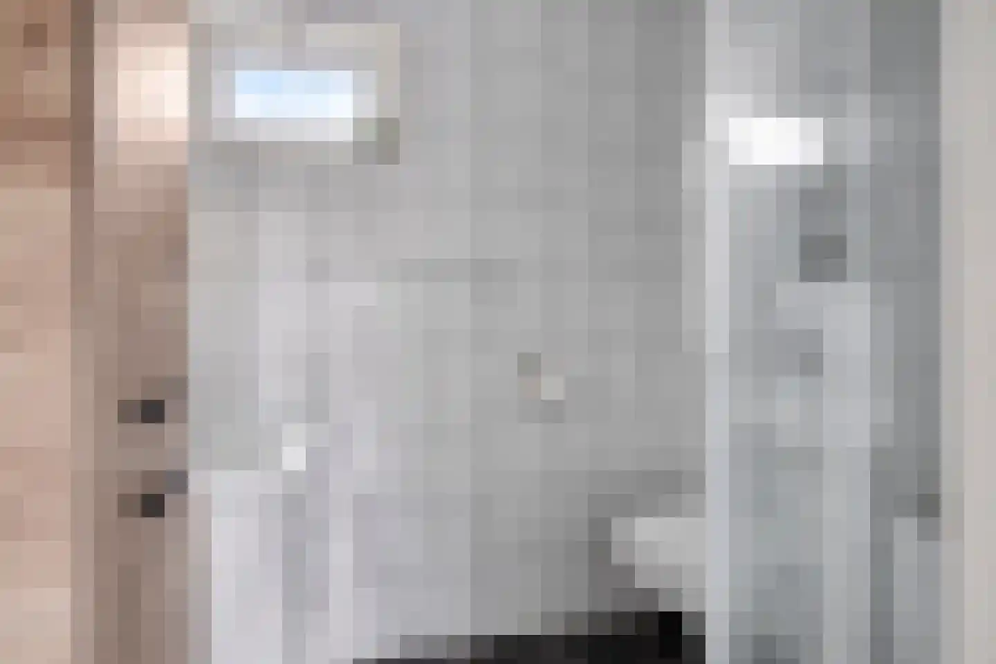 Huismus 6 Emmen thumbnail 12