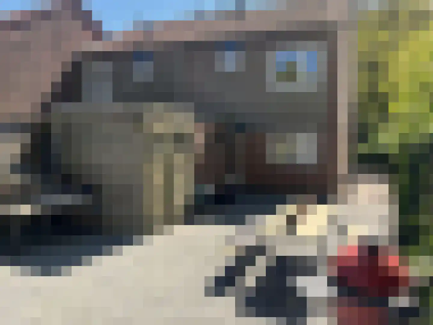 Huismus 6 Emmen thumbnail 14