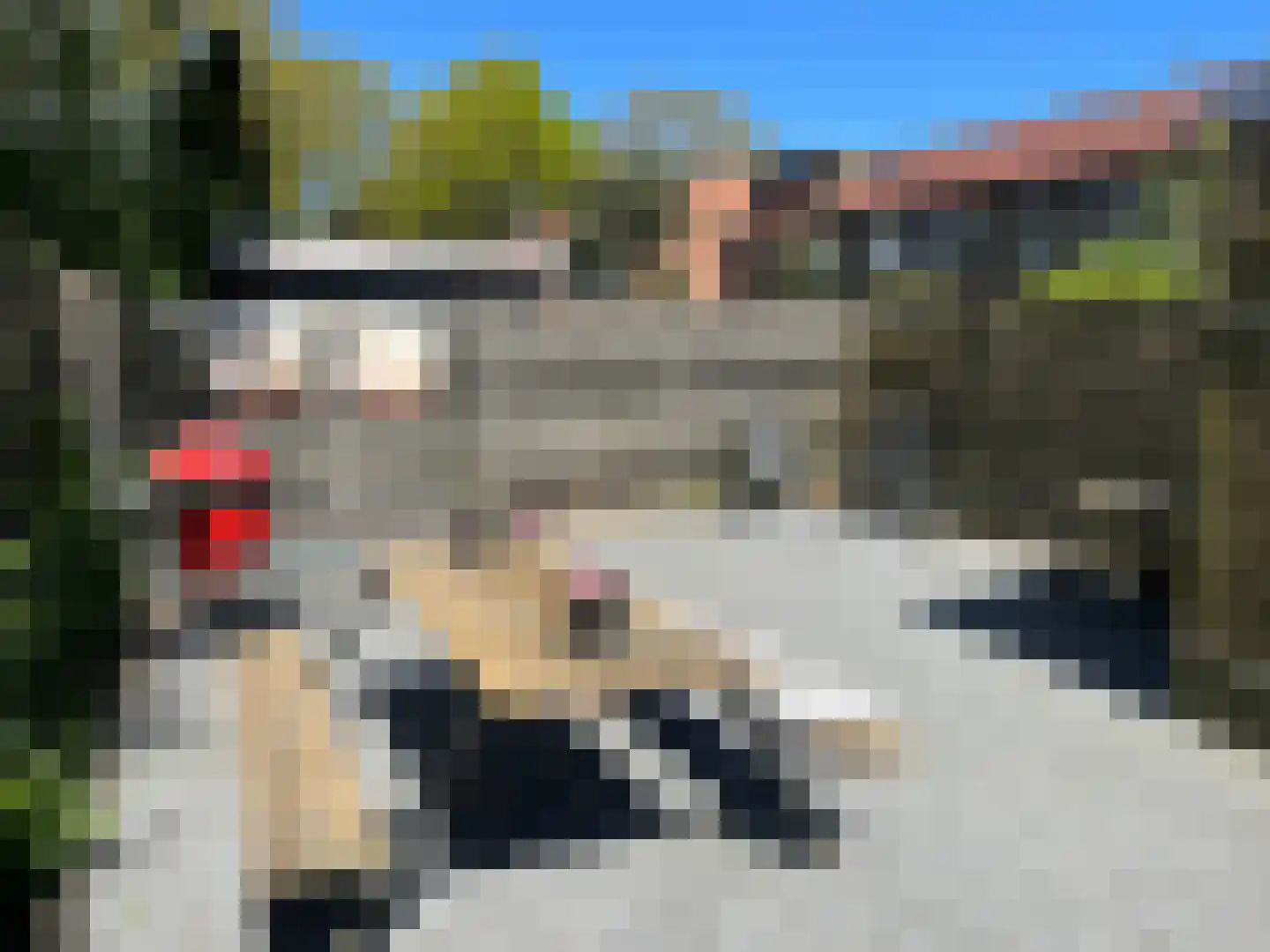 Huismus 6 Emmen thumbnail 16
