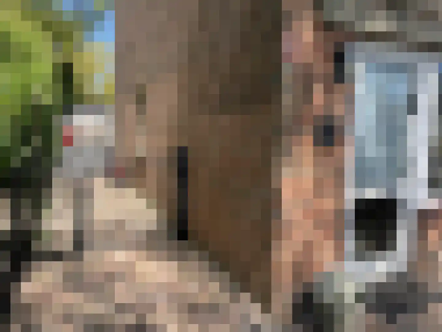 Huismus 6 Emmen thumbnail 17
