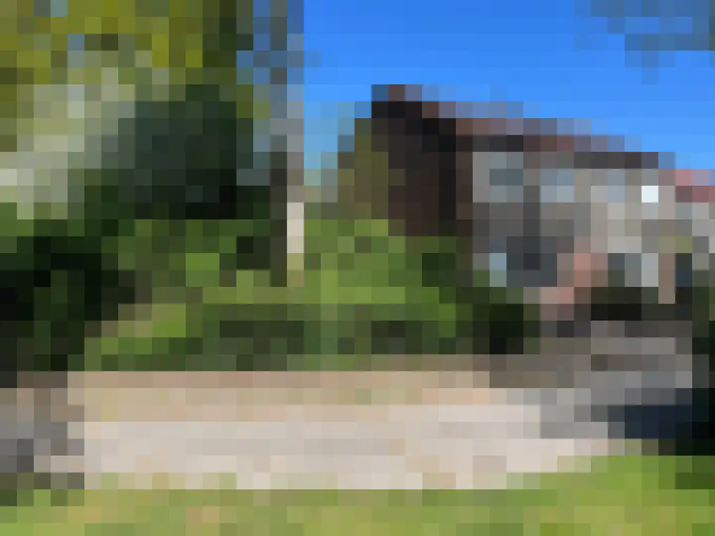 Huismus 6 Emmen thumbnail 18