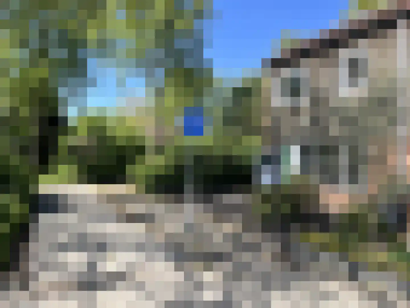 Huismus 6 Emmen thumbnail 20