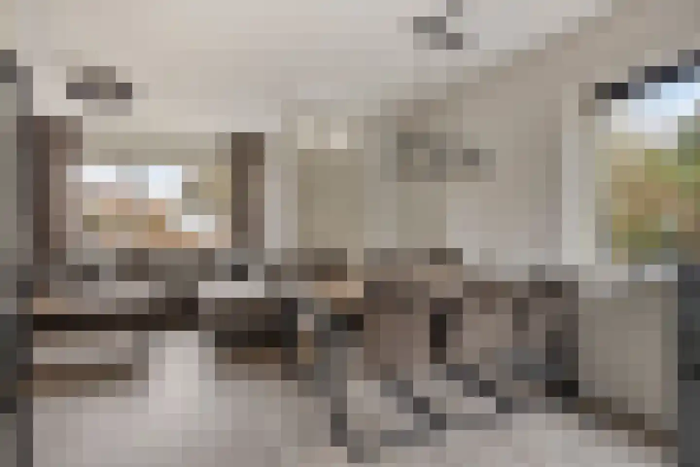 Huismus 6 Emmen thumbnail 5