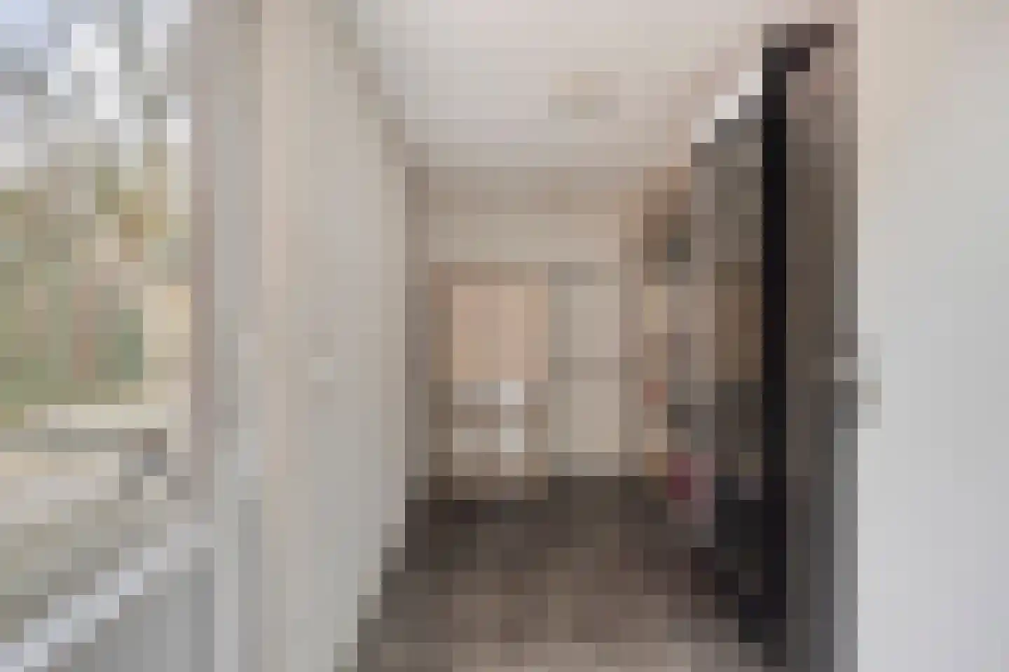 Huismus 6 Emmen thumbnail 7