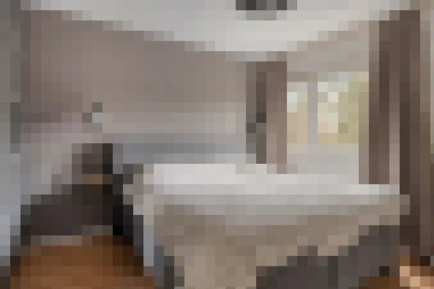 Huismus 6 Emmen thumbnail 8