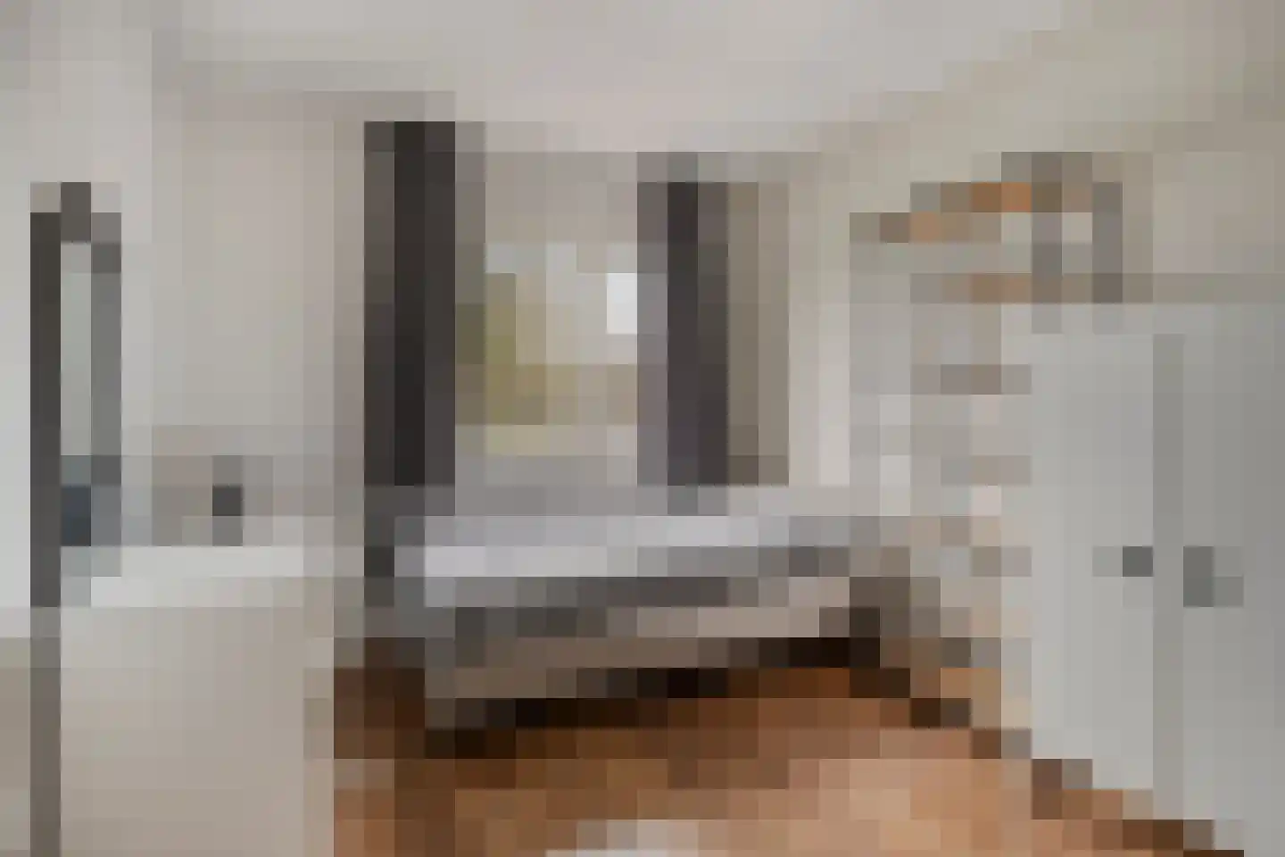 Huismus 6 Emmen thumbnail 9