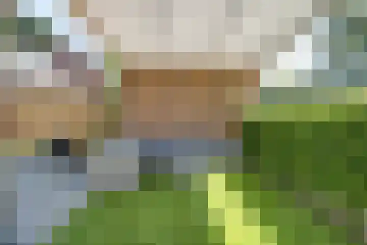 Huisplaats 35 Grootebroek thumbnail 19