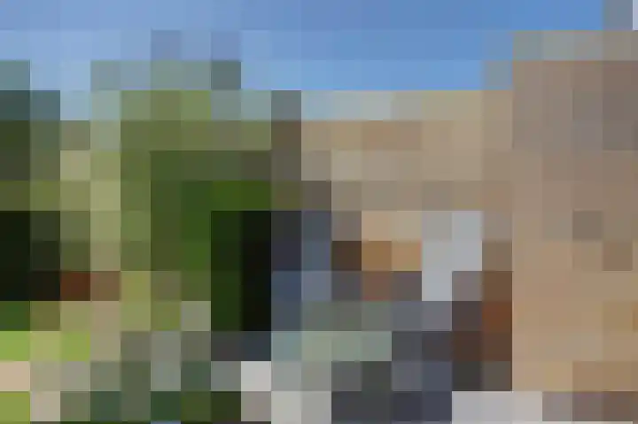 Huisplaats 35 Grootebroek thumbnail 20