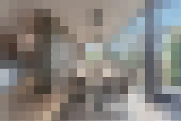 Huisplaats 41 Grootebroek thumbnail 14