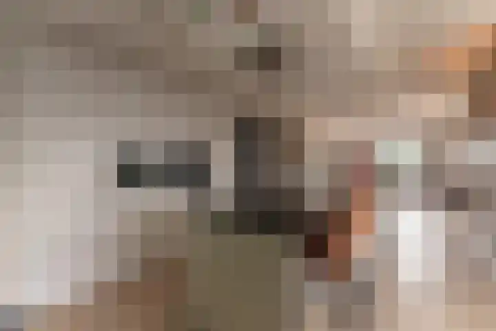 Huisplaats 41 Grootebroek thumbnail 19