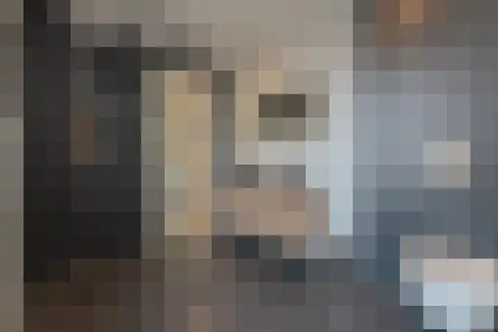 Huisplaats 41 Grootebroek thumbnail 34