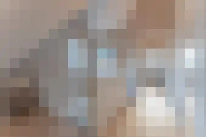 Huisplaats 41 Grootebroek thumbnail 40