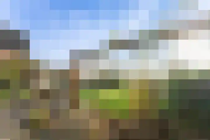 Huisplaats 41 Grootebroek thumbnail 47
