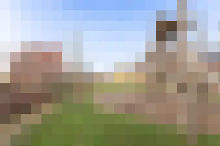Huisplaats 41 Grootebroek thumbnail 59