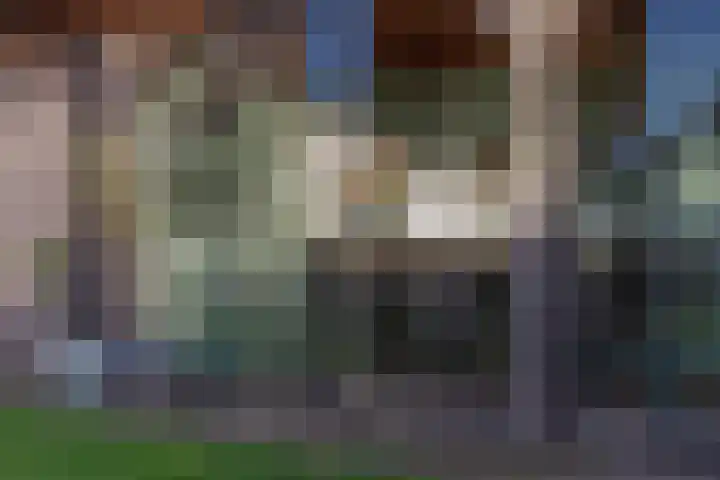 Huisplaats 41 Grootebroek thumbnail 6