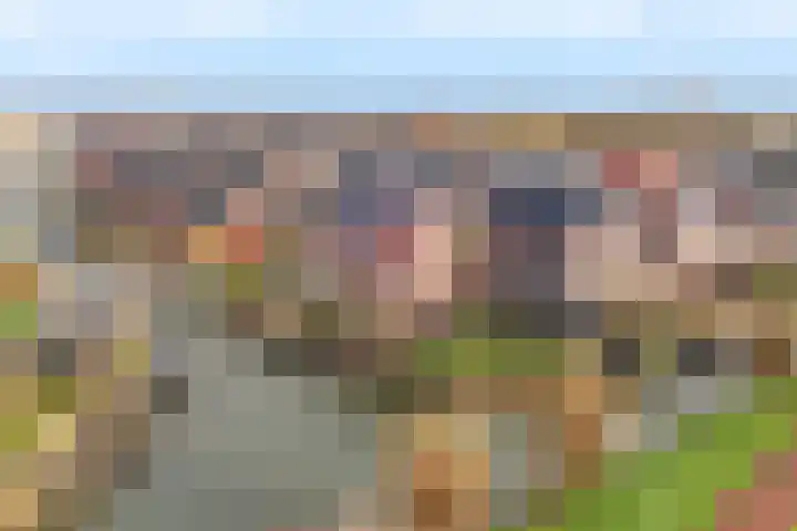 Huisplaats 41 Grootebroek thumbnail 9