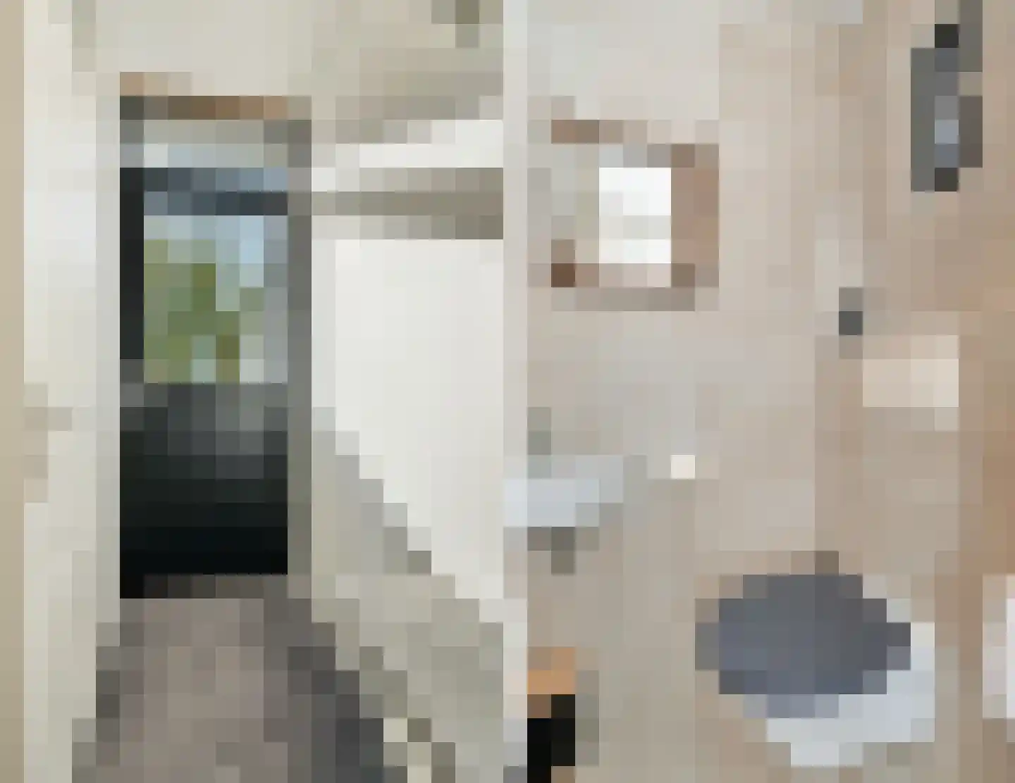 Huisplaats 5 Leende thumbnail 17