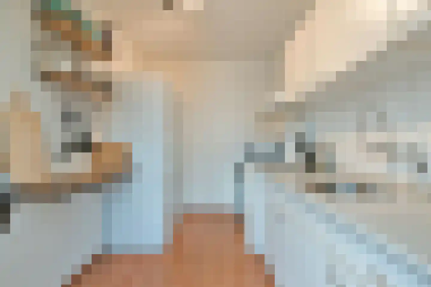 Huisplaats 5 Leende thumbnail 25