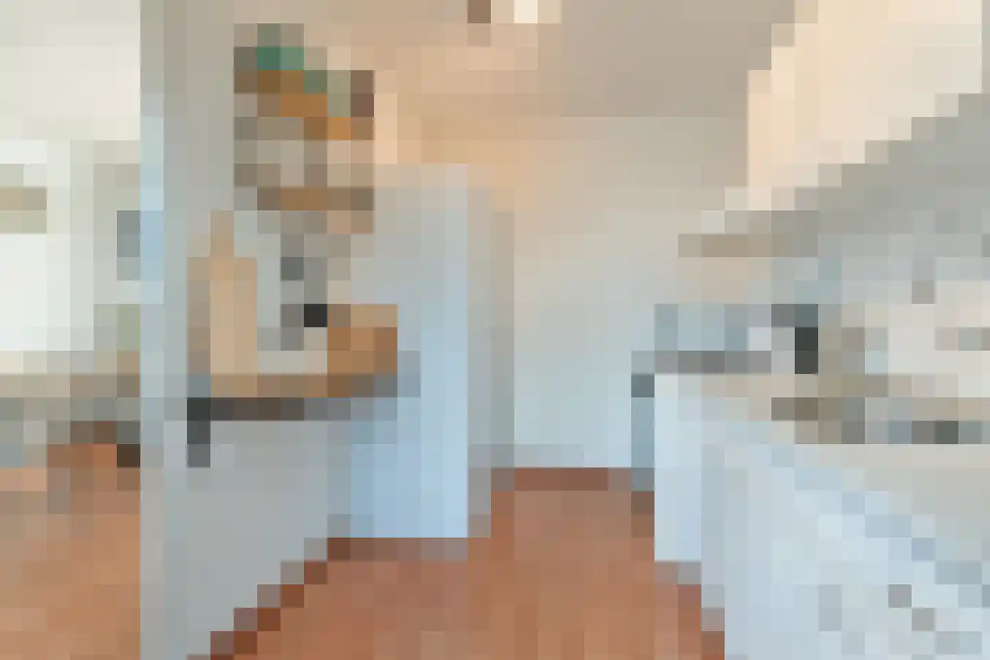 Huisplaats 5 Leende thumbnail 26