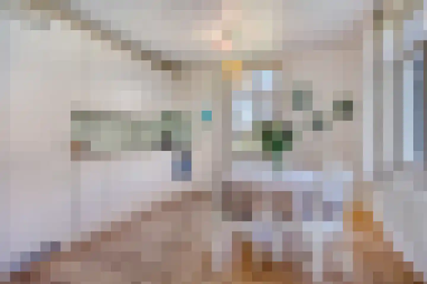 Huissensedijk 24 Arnhem thumbnail 10