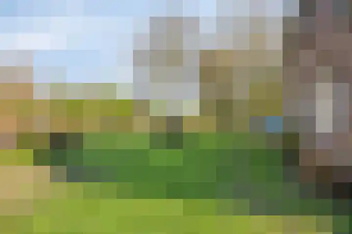 Huissensedijk 24 Arnhem thumbnail 26