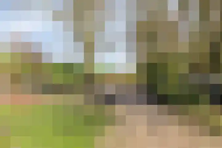 Huissensedijk 24 Arnhem thumbnail 27