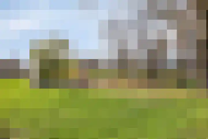 Huissensedijk 24 Arnhem thumbnail 33