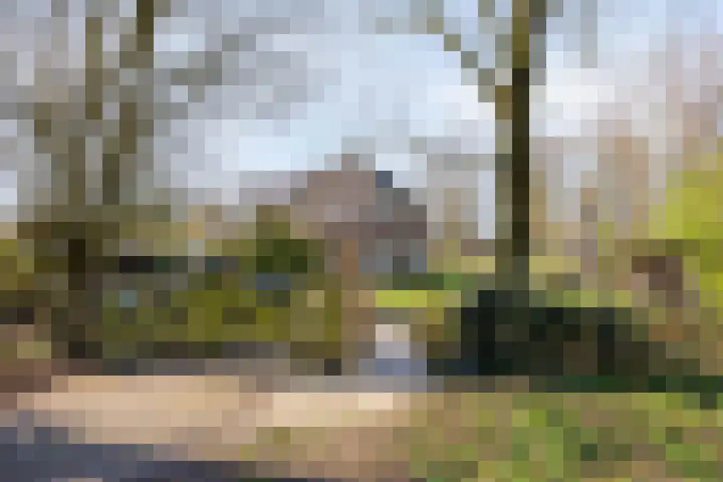 Huissensedijk 24 Arnhem thumbnail 39