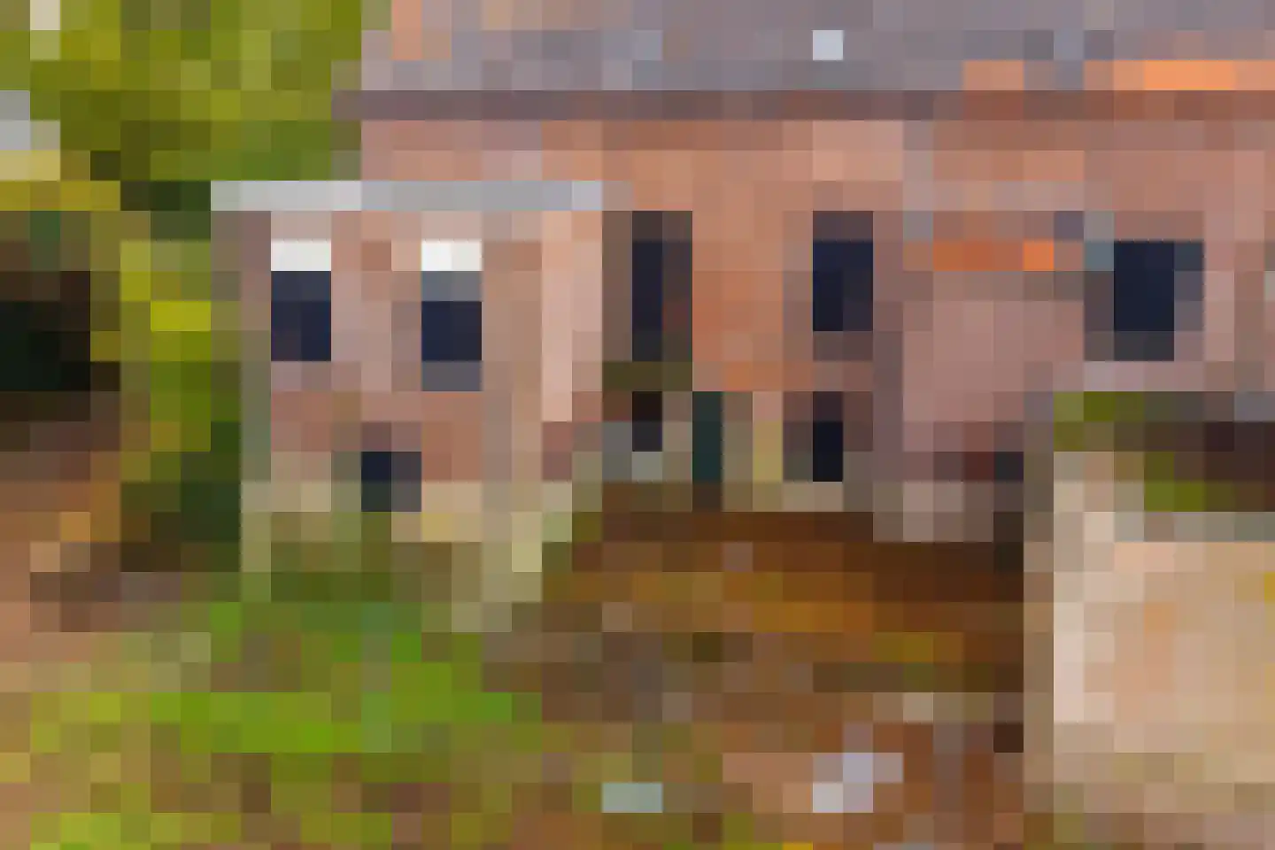 Huissensedijk 5 Arnhem thumbnail 29