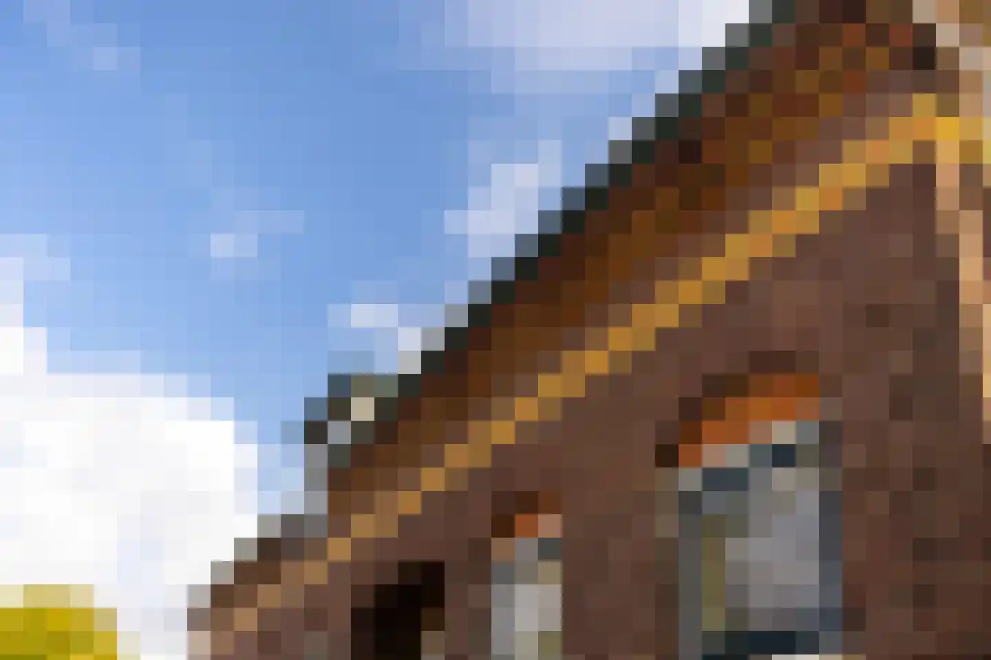 Huissensedijk 7 Arnhem thumbnail 29