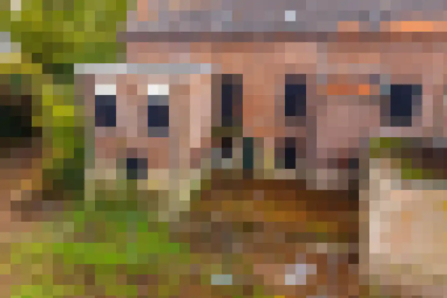 Huissensedijk 7 Arnhem thumbnail 30