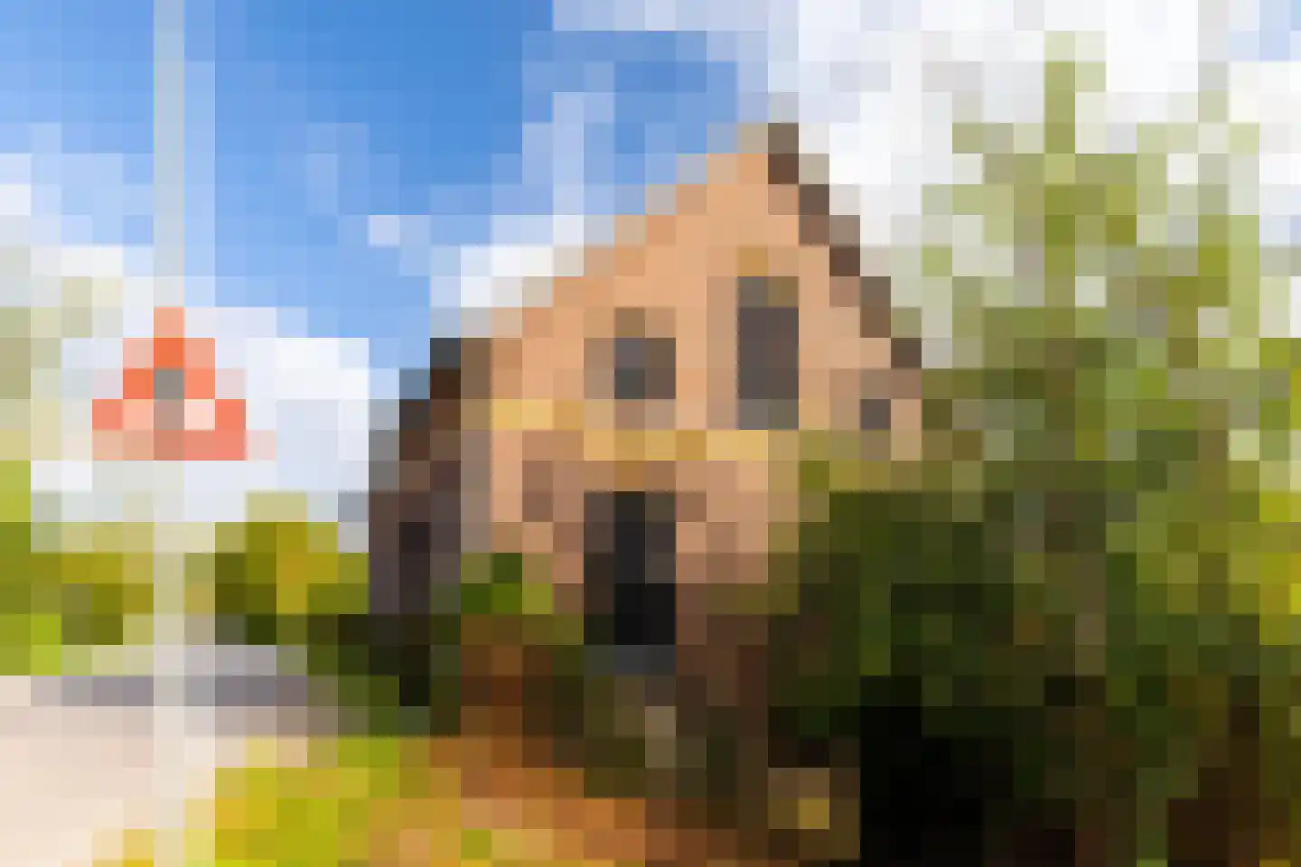 Huissensedijk 7 Arnhem thumbnail 7
