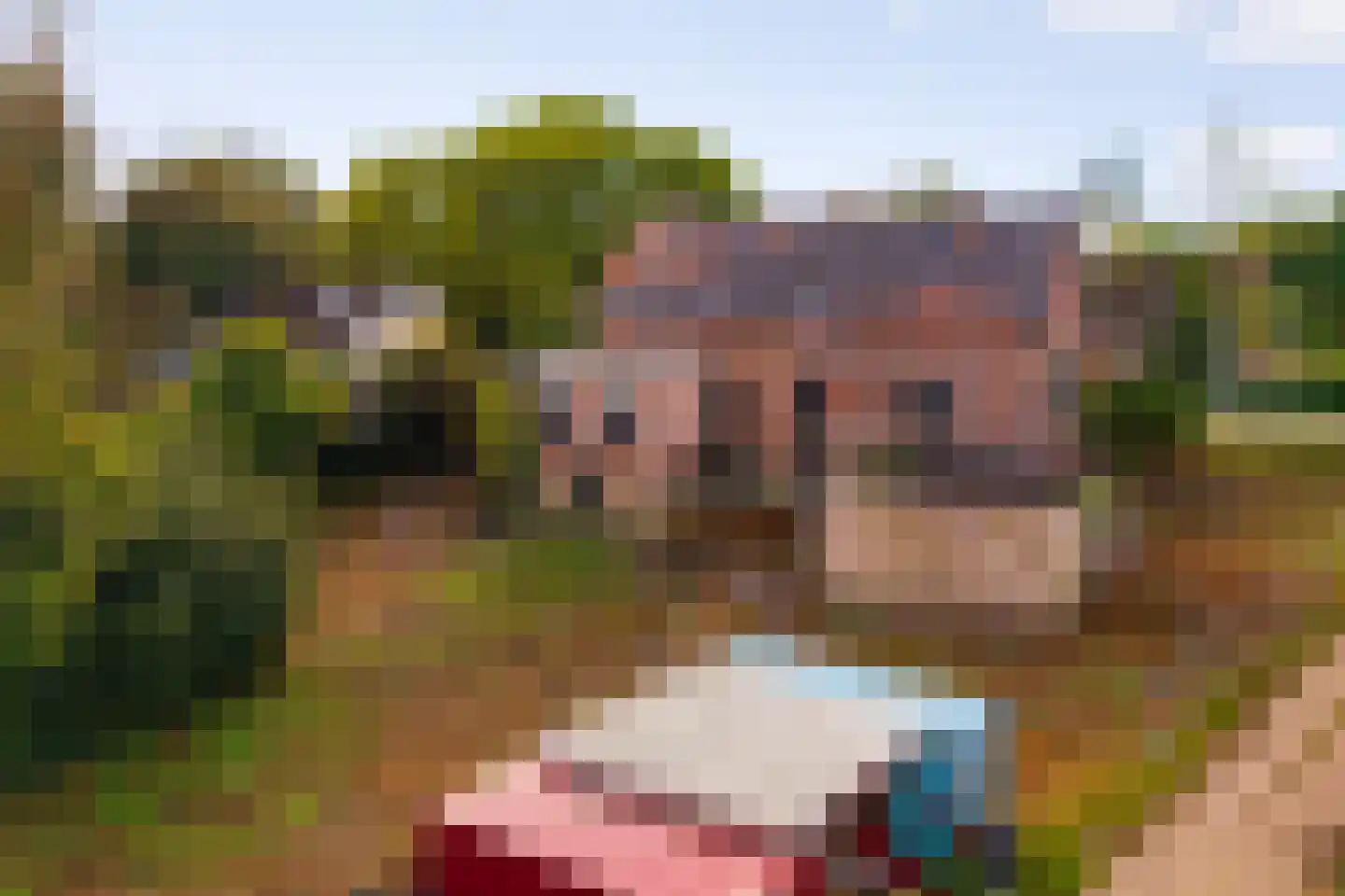 Huissensedijk 7 Arnhem thumbnail 8
