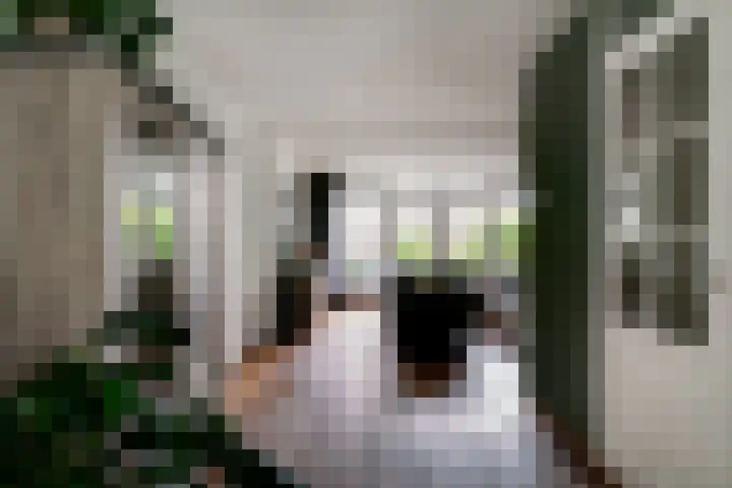 Huissensestraat 1 a Lobith thumbnail 10