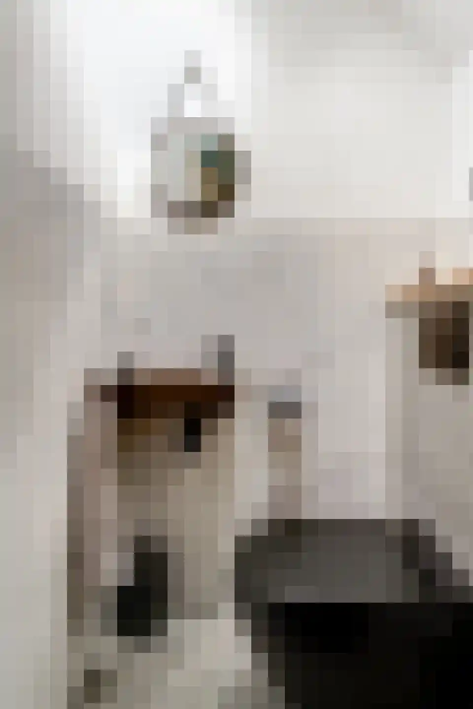 Huissensestraat 1 a Lobith thumbnail 24