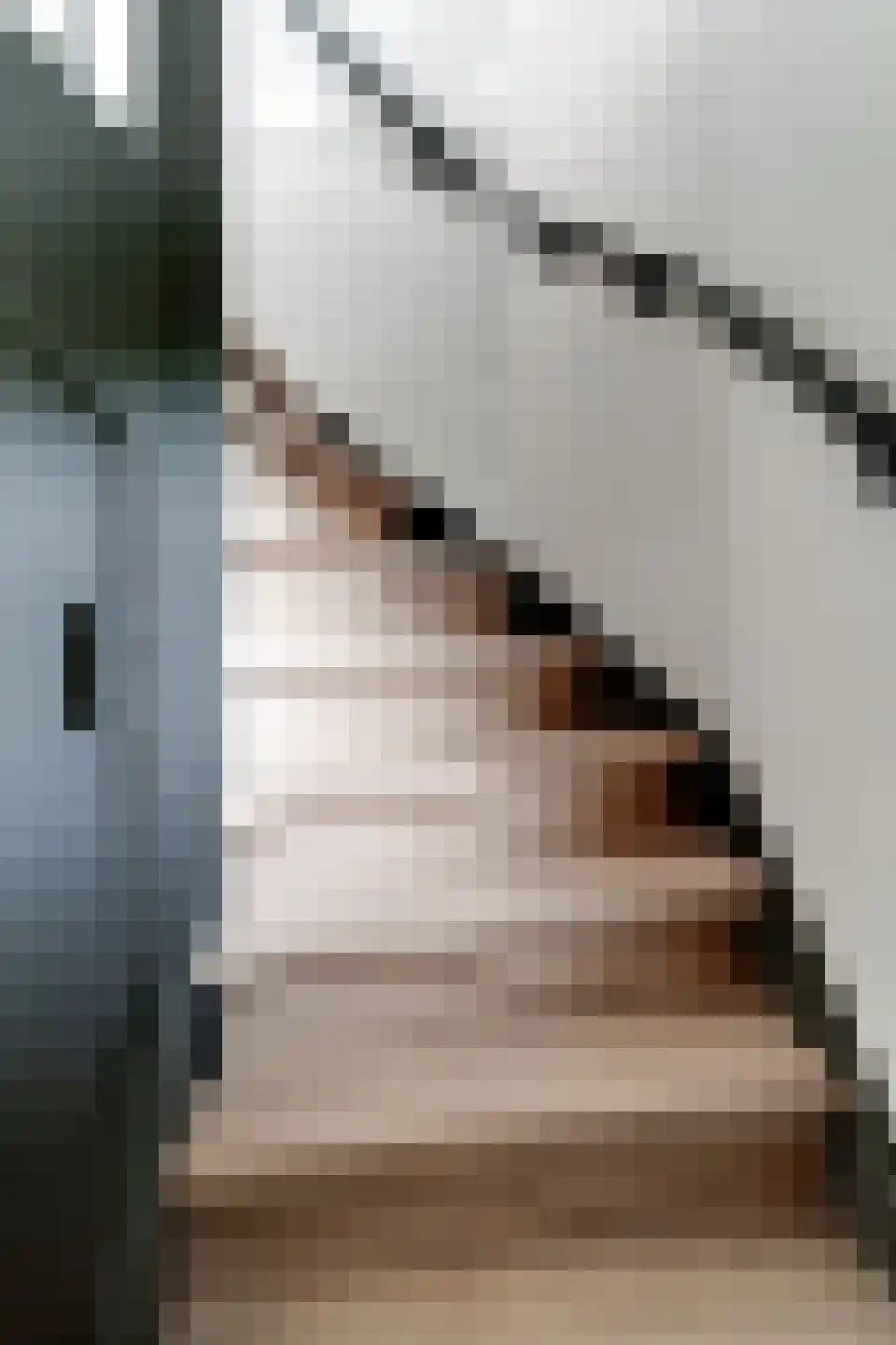 Huissensestraat 1 a Lobith thumbnail 25