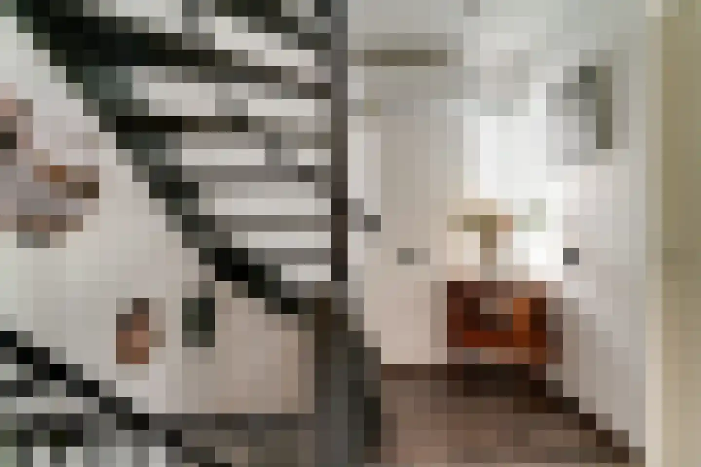 Huissensestraat 1 a Lobith thumbnail 26
