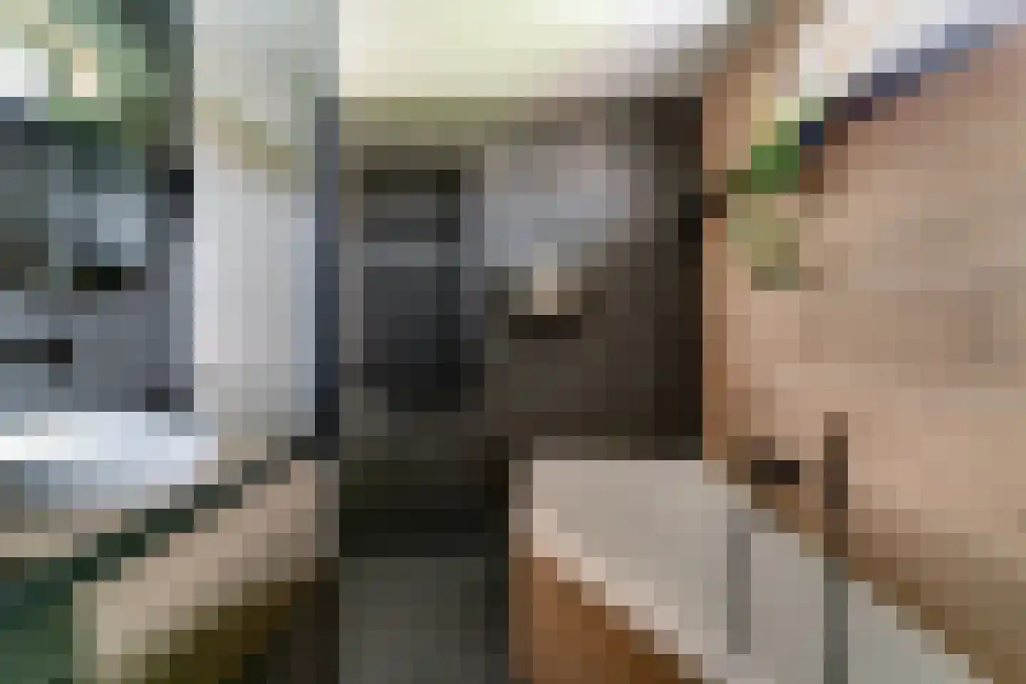 Huissensestraat 1 a Lobith thumbnail 34