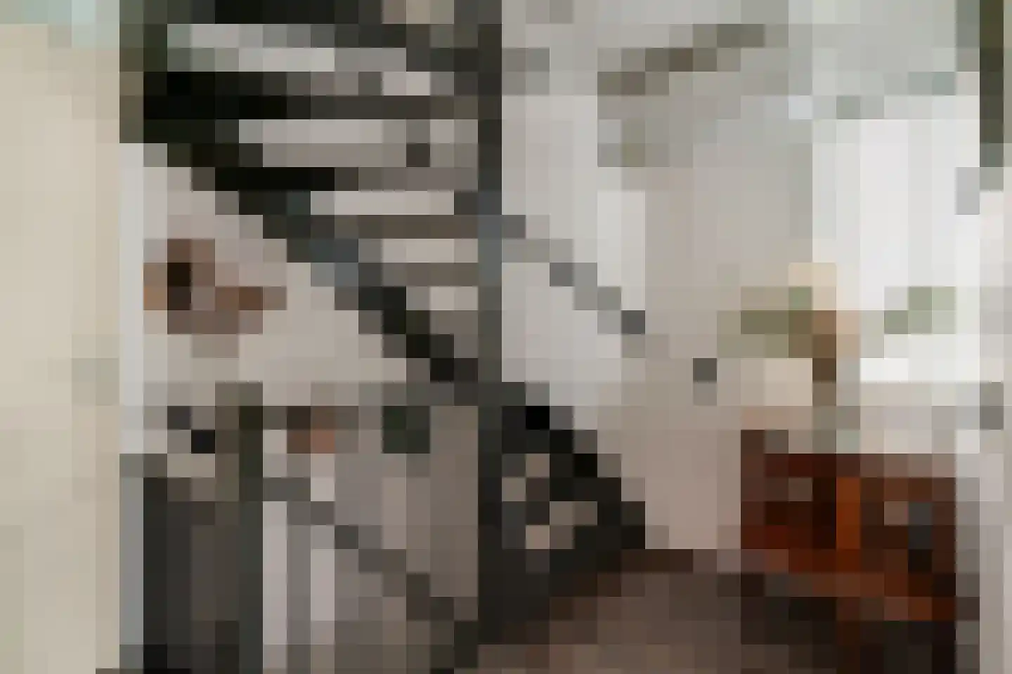 Huissensestraat 1 a Lobith thumbnail 38