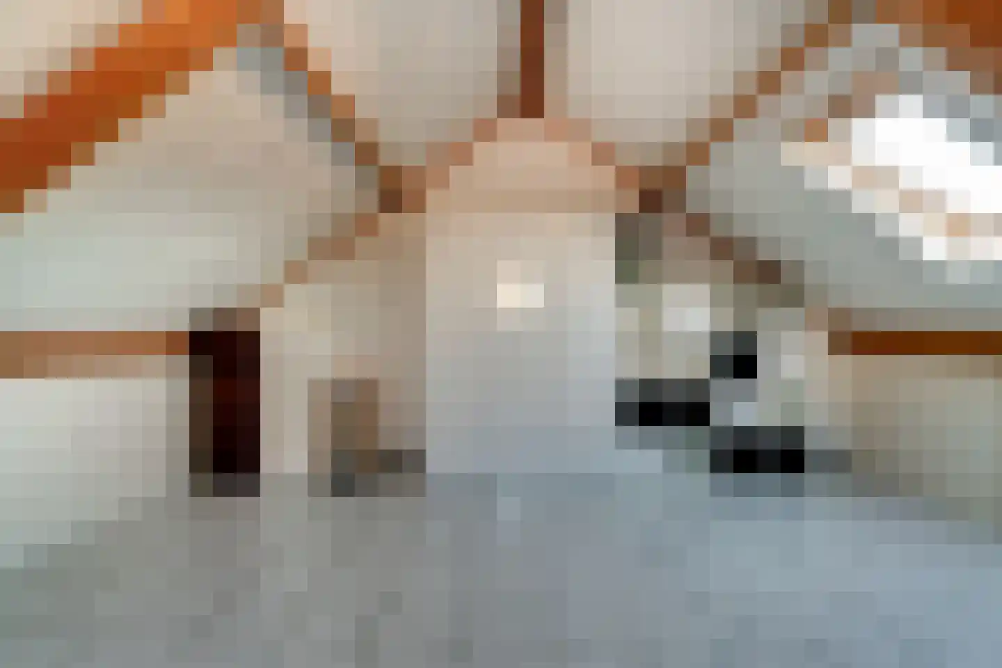 Huissensestraat 1 a Lobith thumbnail 40