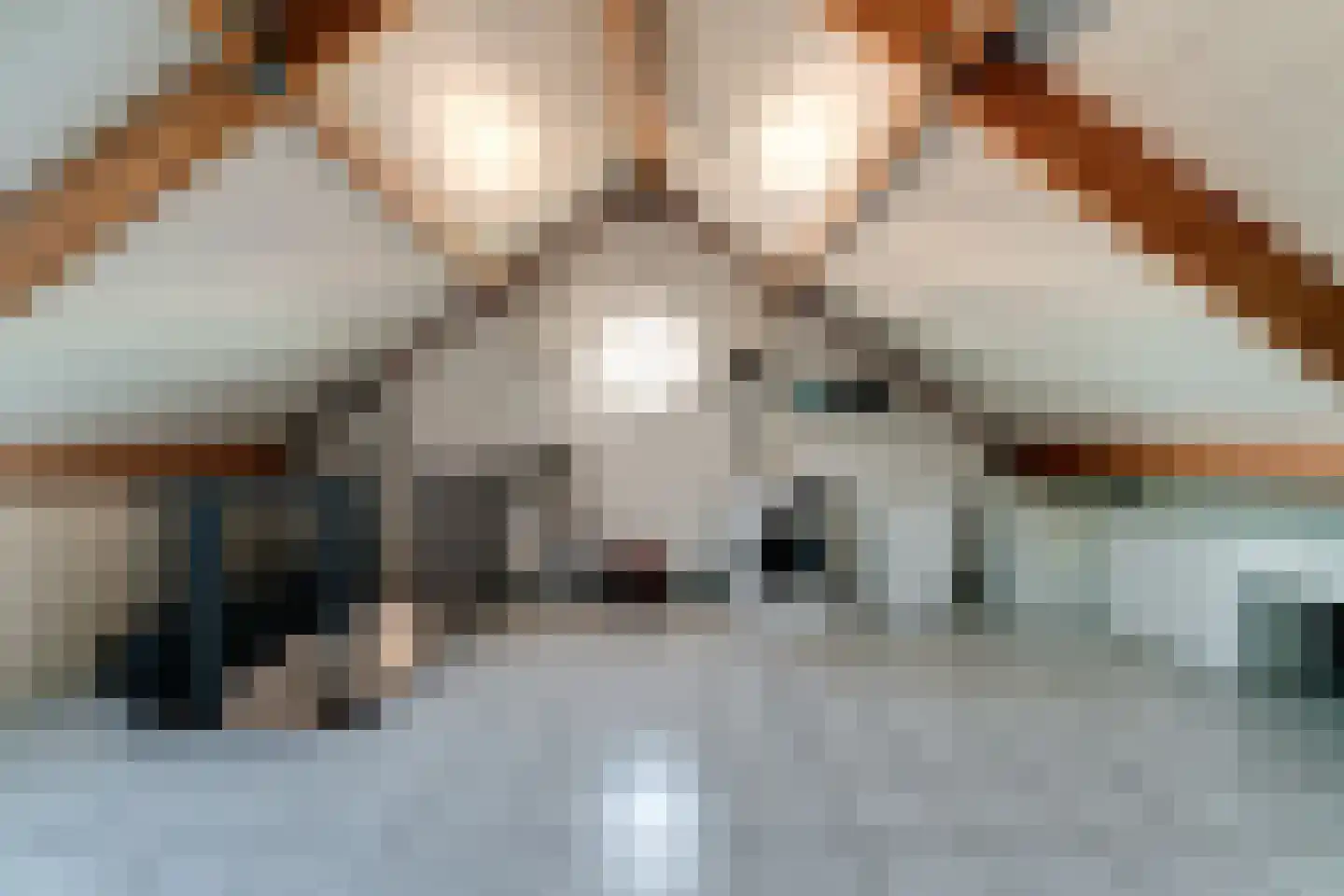 Huissensestraat 1 a Lobith thumbnail 41