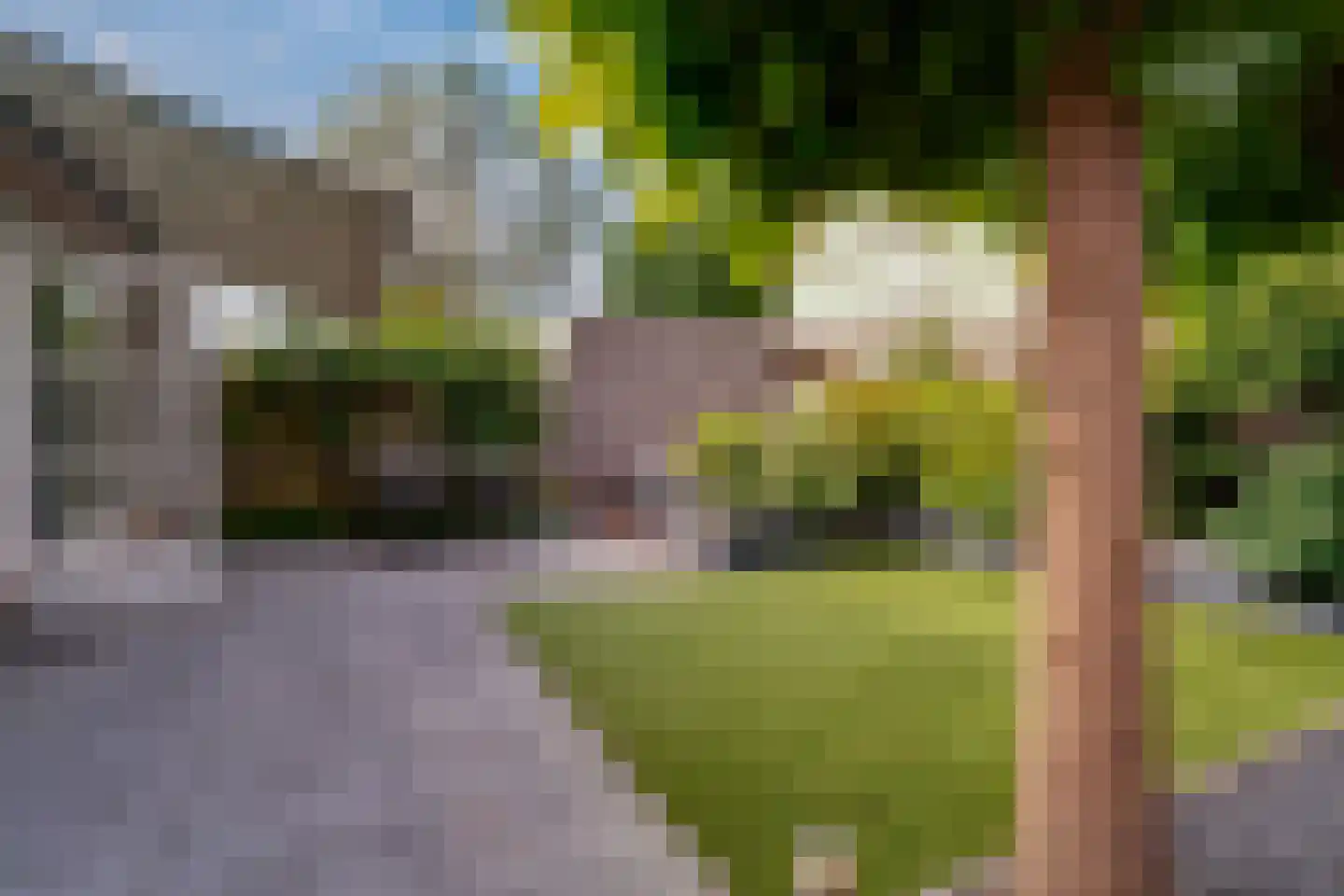 Huissensestraat 1 a Lobith thumbnail 44