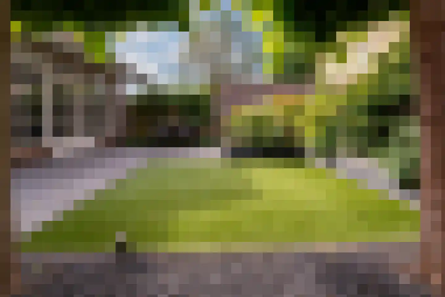 Huissensestraat 1 a Lobith thumbnail 48