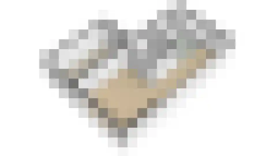 Huissensestraat 1 a Lobith thumbnail 52