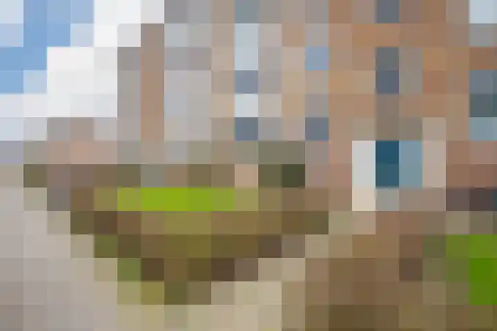 Huissensestraat 103 2 Arnhem thumbnail 8