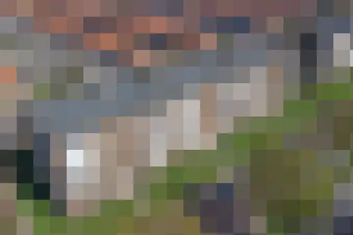 Huissensestraat 115 3 Arnhem thumbnail 44