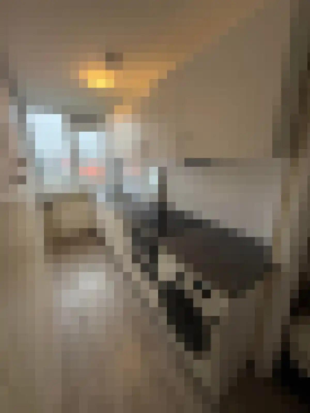 Huissensestraat 115 Arnhem thumbnail 4