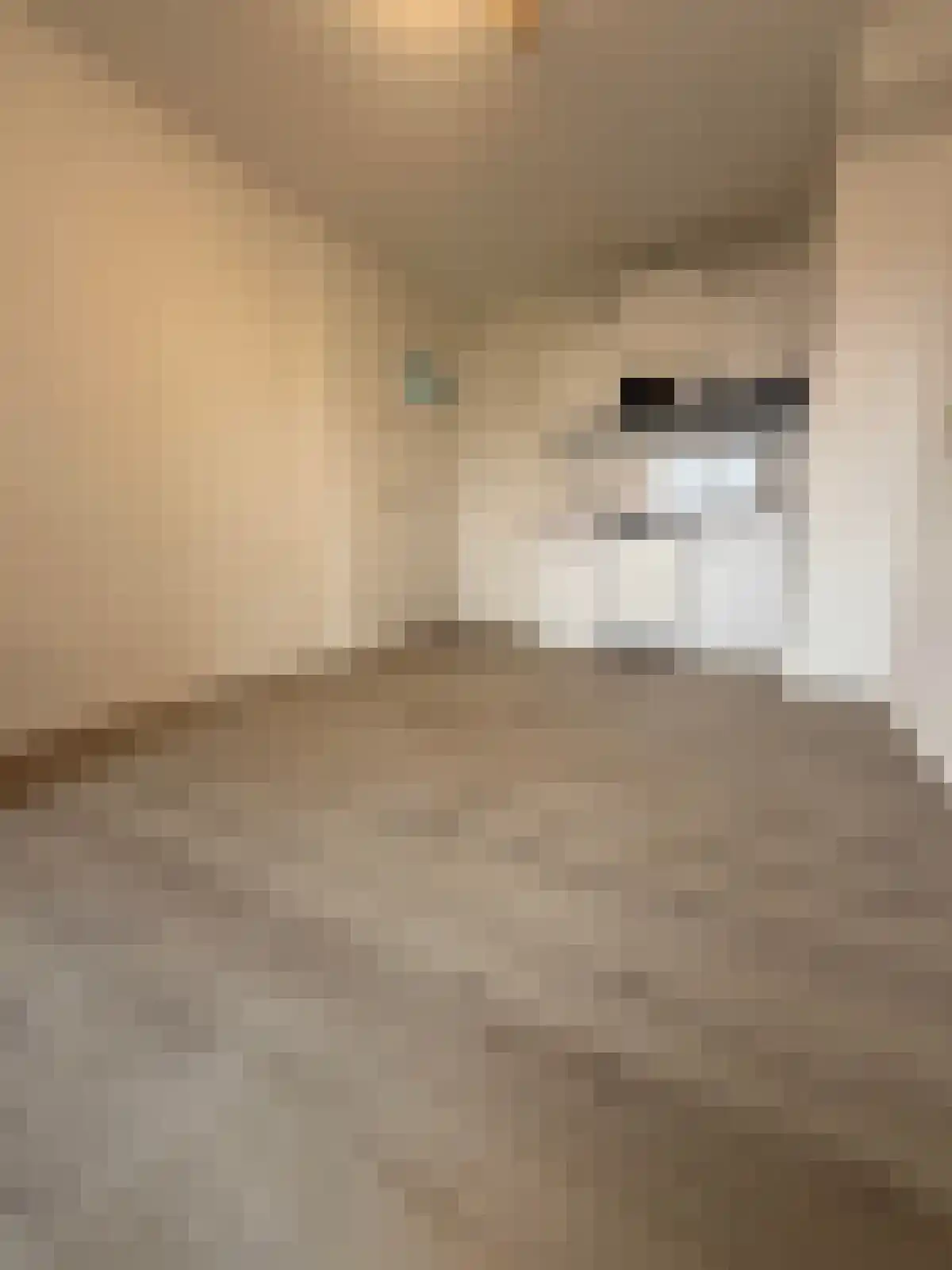 Huissensestraat 115 Arnhem thumbnail 5